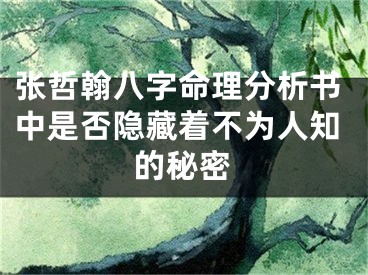 张哲翰八字命理分析书中是否隐藏着不为人知的秘密