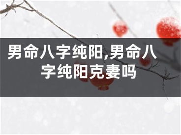 男命八字纯阳,男命八字纯阳克妻吗