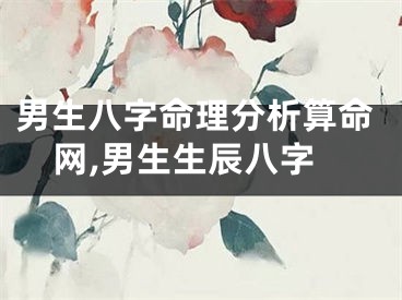 男生八字命理分析算命网,男生生辰八字