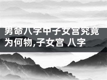 男命八字中子女宫究竟为何物,子女宫 八字