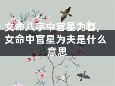 女命八字中官星为喜,女命中官星为夫是什么意思