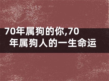 70年属狗的你,70年属狗人的一生命运