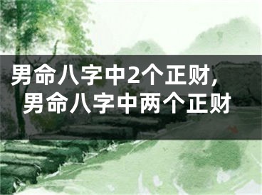 男命八字中2个正财,男命八字中两个正财