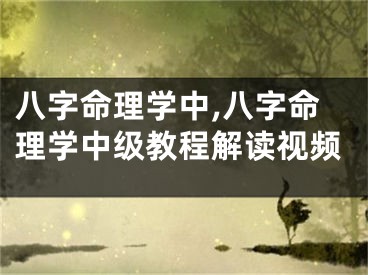 八字命理学中,八字命理学中级教程解读视频