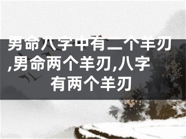 男命八字中有二个羊刃,男命两个羊刃,八字有两个羊刃