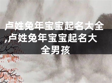 卢姓兔年宝宝起名大全,卢姓兔年宝宝起名大全男孩