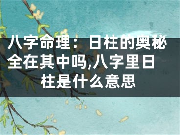 八字命理：日柱的奥秘全在其中吗,八字里日柱是什么意思