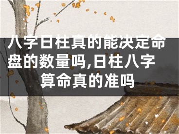 八字日柱真的能决定命盘的数量吗,日柱八字算命真的准吗