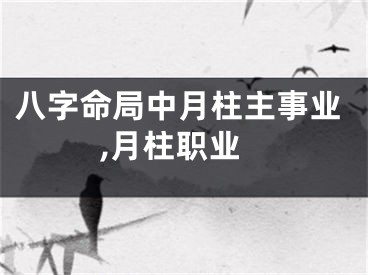 八字命局中月柱主事业,月柱职业