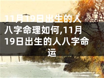 11月19日出生的人八字命理如何,11月19日出生的人八字命运