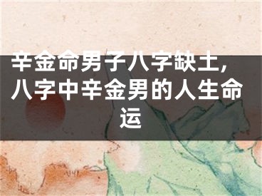 辛金命男子八字缺土,八字中辛金男的人生命运
