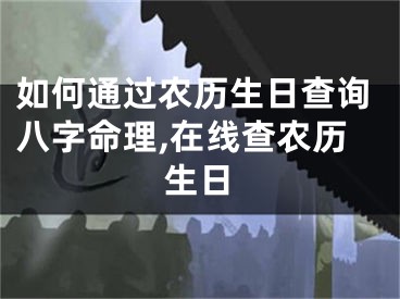 如何通过农历生日查询八字命理,在线查农历生日