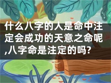 什么八字的人是命中注定会成功的天意之命呢,八字命是注定的吗?