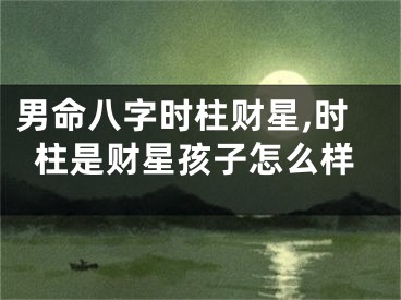 男命八字时柱财星,时柱是财星孩子怎么样