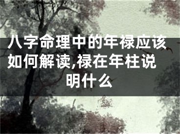 八字命理中的年禄应该如何解读,禄在年柱说明什么