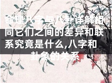 命理八字与八卦详解相同它们之间的差异和联系究竟是什么,八字和卦象的关系