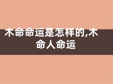 木命命运是怎样的,木命人命运