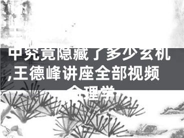 王德峰讲座八字命理2中究竟隐藏了多少玄机,王德峰讲座全部视频命理学