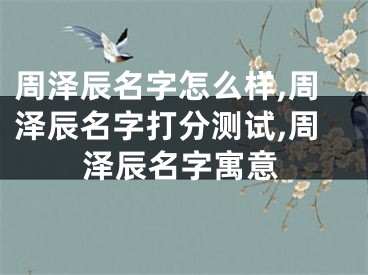 周泽辰名字怎么样,周泽辰名字打分测试,周泽辰名字寓意