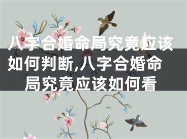 八字合婚命局究竟应该如何判断,八字合婚命局究竟应该如何看