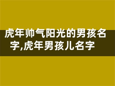 虎年帅气阳光的男孩名字,虎年男孩儿名字