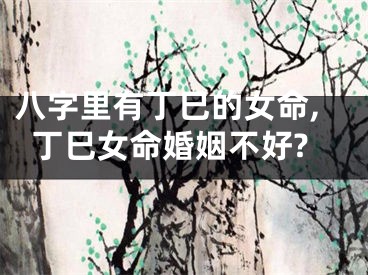 八字里有丁巳的女命,丁巳女命婚姻不好?