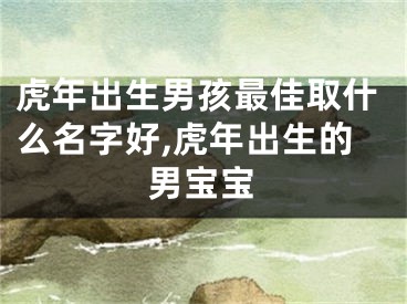 虎年出生男孩最佳取什么名字好,虎年出生的男宝宝