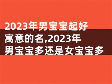 2023年男宝宝起好寓意的名,2023年男宝宝多还是女宝宝多