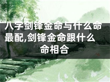 八字剑锋金命与什么命最配,剑锋金命跟什么命相合