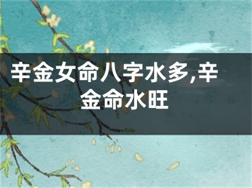 辛金女命八字水多,辛金命水旺