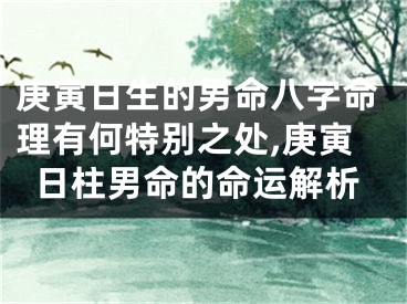 庚寅日生的男命八字命理有何特别之处,庚寅日柱男命的命运解析