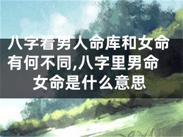八字看男人命库和女命有何不同,八字里男命女命是什么意思