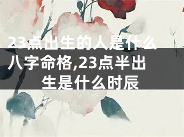 23点出生的人是什么八字命格,23点半出生是什么时辰