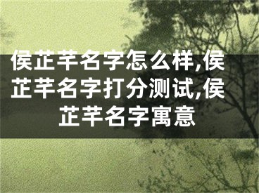 侯芷芊名字怎么样,侯芷芊名字打分测试,侯芷芊名字寓意
