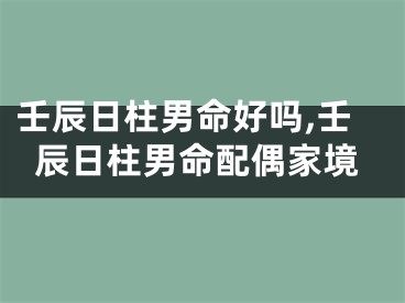 壬辰日柱男命好吗,壬辰日柱男命配偶家境