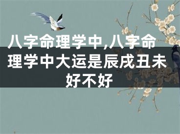 八字命理学中,八字命理学中大运是辰戌丑未好不好