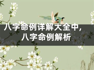 八字命例详解大全中,八字命例解析