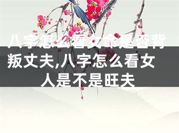 八字怎么看女命是否背叛丈夫,八字怎么看女人是不是旺夫