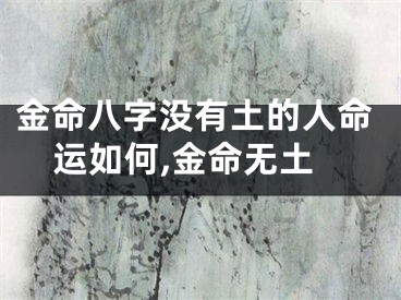 金命八字没有土的人命运如何,金命无土