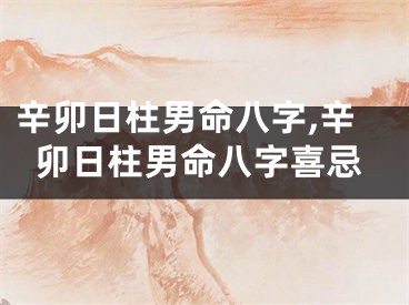 辛卯日柱男命八字,辛卯日柱男命八字喜忌