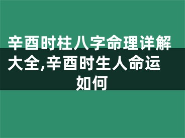 辛酉时柱八字命理详解大全,辛酉时生人命运如何
