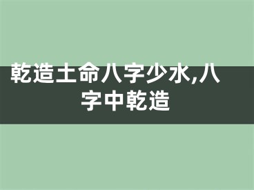 乾造土命八字少水,八字中乾造