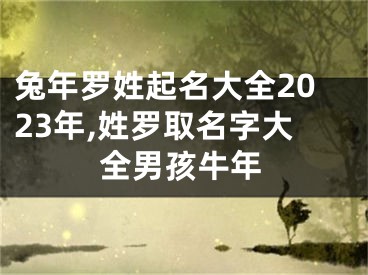 兔年罗姓起名大全2023年,姓罗取名字大全男孩牛年
