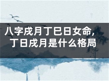 八字戌月丁巳日女命,丁日戌月是什么格局