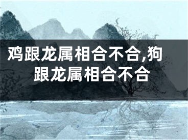 鸡跟龙属相合不合,狗跟龙属相合不合