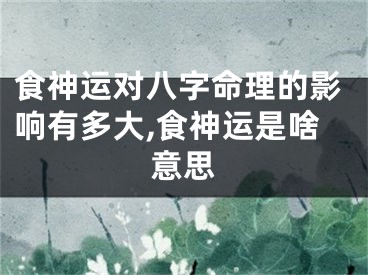 食神运对八字命理的影响有多大,食神运是啥意思