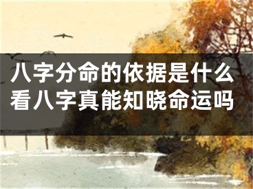 八字分命的依据是什么看八字真能知晓命运吗
