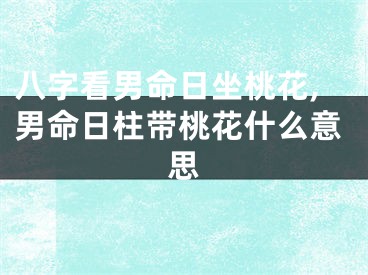 八字看男命日坐桃花,男命日柱带桃花什么意思