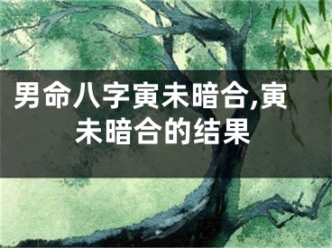 男命八字寅未暗合,寅未暗合的结果