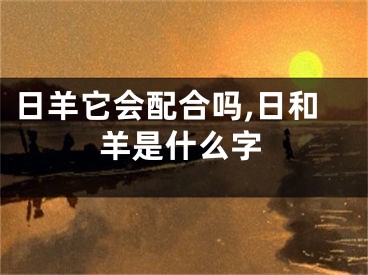 日羊它会配合吗,日和羊是什么字